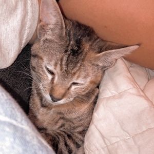 Meet your Posher, Juwel